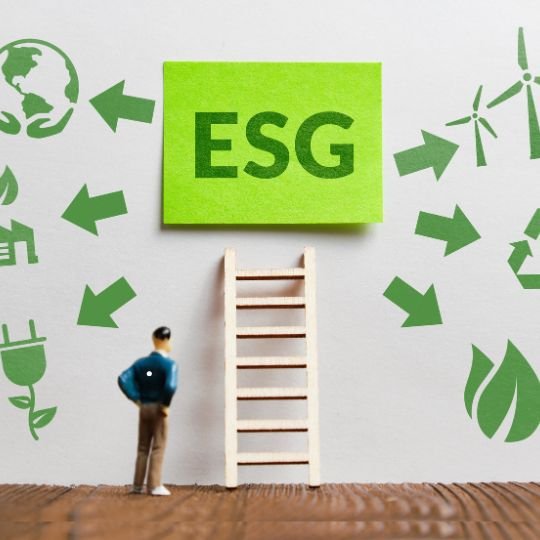 Strategic ESG
